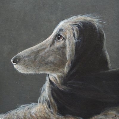 Afghan at Speed, Grey by Lincoln Seligman